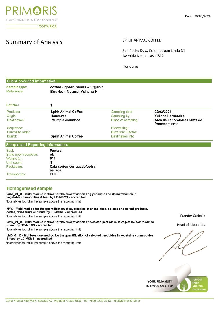 Sippd X Spirit Animal- Honduran Catuai Coffee