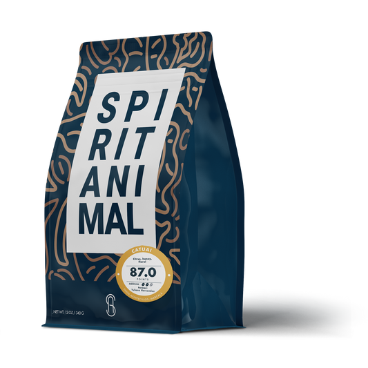 Sippd X Spirit Animal- Honduran Catuai Coffee