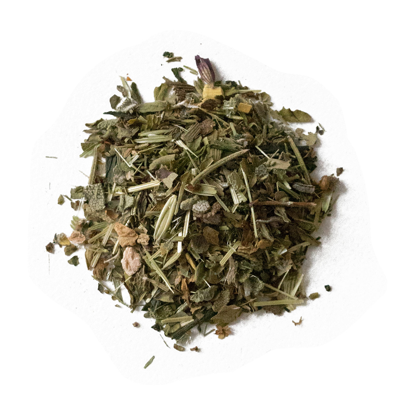 Bright Morning Stars