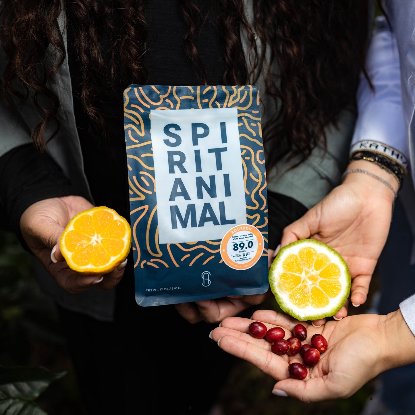 Sippd X Spirit Animal- Honduran Bourbon Coffee