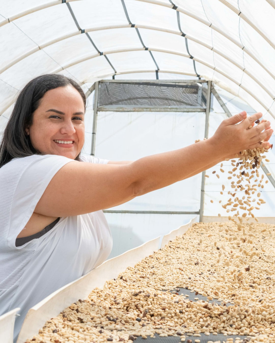 Sippd X Spirit Animal- Honduran Parainema Coffee