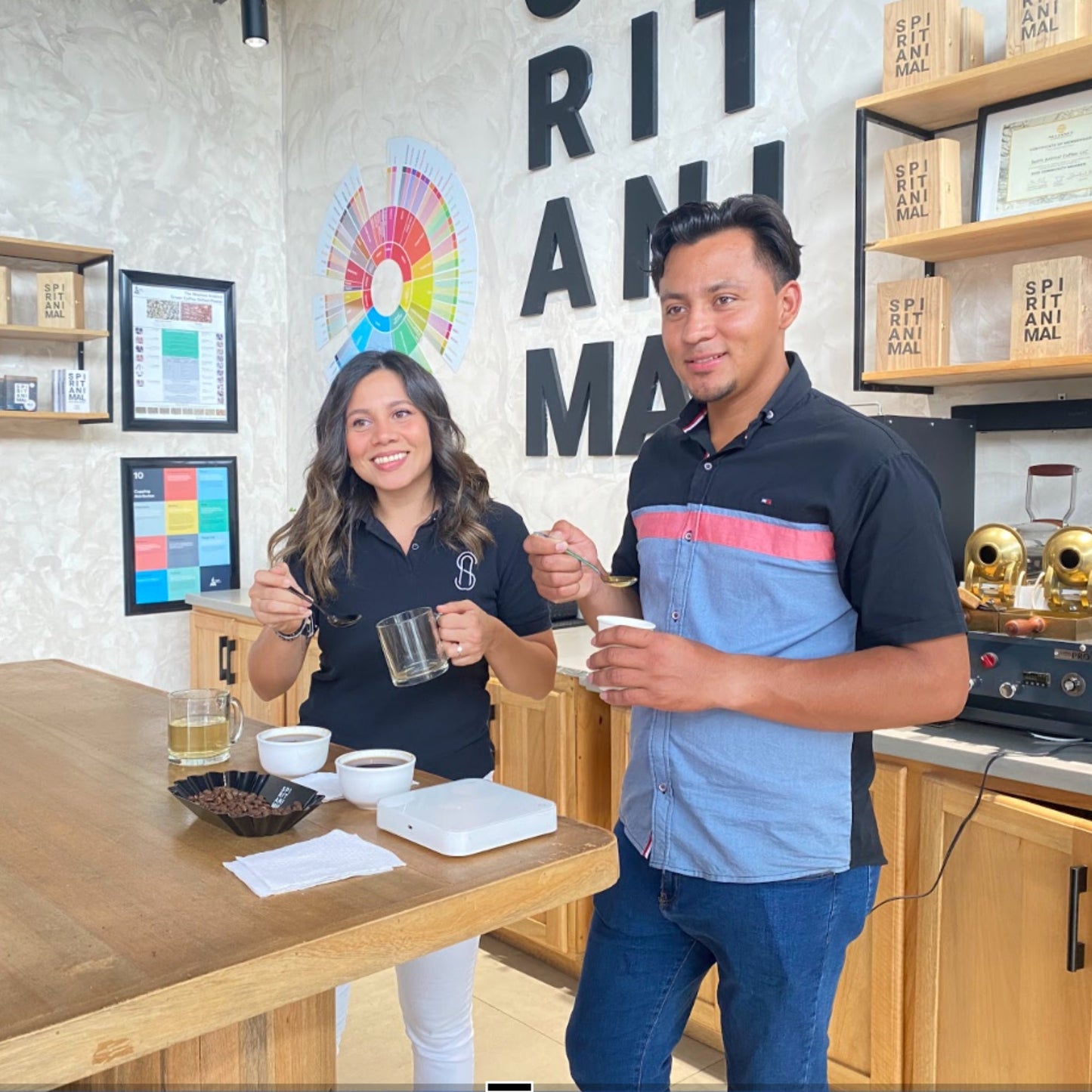 Sippd X Spirit Animal- Honduran Cup of Excellence Parainema Coffee