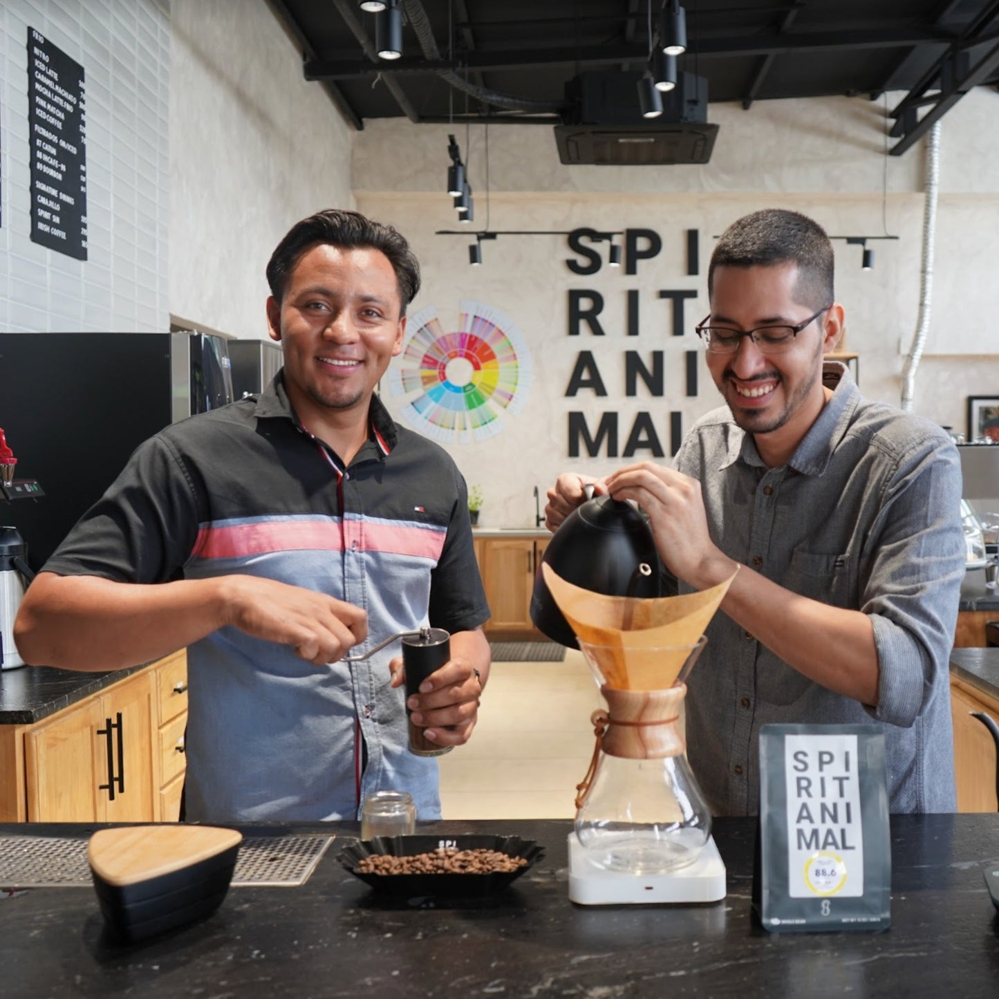 Sippd X Spirit Animal- Honduran Cup of Excellence Parainema Coffee