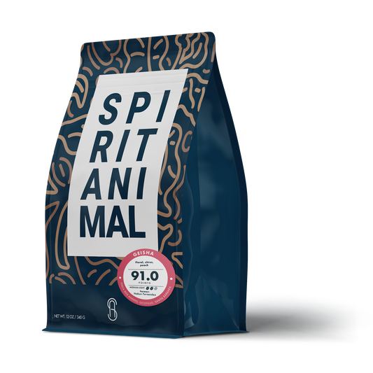 Sippd X Spirit Animal- Honduras Geisha Coffee