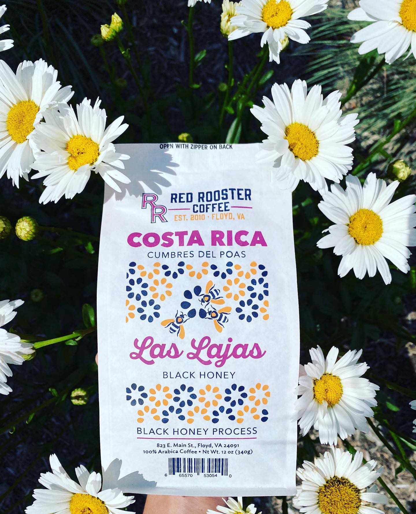 Sippd X Red Rooster Coffee Costa Rica Las Lajas Black Honey