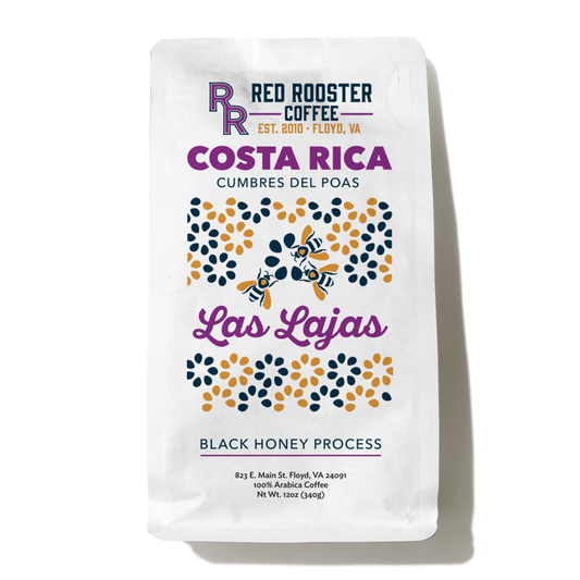 Sippd X Red Rooster Coffee Costa Rica Las Lajas Black Honey